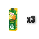 Hortex Tropical Duo Napój Pomarańcza Yuzu karton 1L 3 szt.
