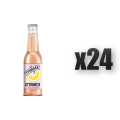 1765378985605-3919-2-x24-nnvr1v.png