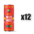 1765379196070-4202-2-x12-1fzkau.png