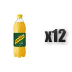 Schweppes Ginger Ale 0,85l 12 szt.