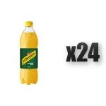 Schweppes Ginger Ale 0,85l 24 szt.