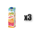 1765379512215-4624-2-x3-q9nj6p.png