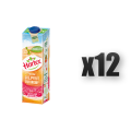 1765379513347-4626-2-x12-0owps.png