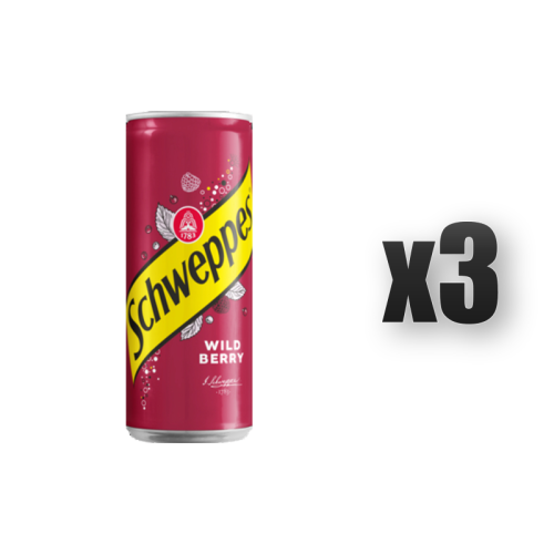 1765379880113-5188-2-x3-0hp4cf.png
