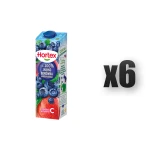 Hortex Sok 100% Jabłko Borówka Amerykańska karton 1L 6 szt.