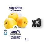 Sok NFC jabłkowy Antonówka 100% Dolina Czerska 3L 3 szt.