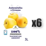 Sok NFC jabłkowy Antonówka 100% Dolina Czerska 3L 6 szt.
