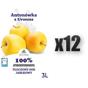 Sok NFC jabłkowy Antonówka 100% Dolina Czerska 3L 12 szt.