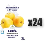 Sok NFC jabłkowy Antonówka 100% Dolina Czerska 3L 24 szt.