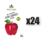 Sok NFC jabłkowy Jonagold 100% Dolina Czerska 3L 24 szt.