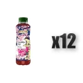 1765380032949-5394-2-x12-pcd3zs.png