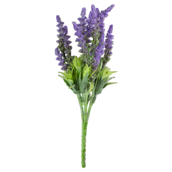 Bukiet lawendy 0a612e47f7210907743484d02d800170.png