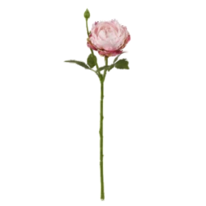 Peonia 43 cm