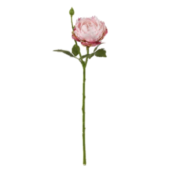Peonia 43 cm 0561af1eeecd38cf8160aeda03da500f.png