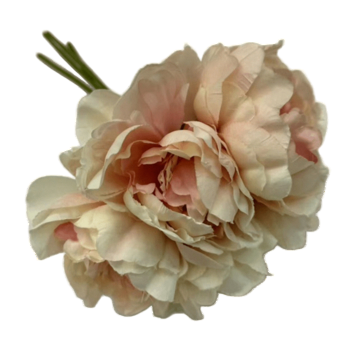 Bukiet peonii f1f2a8efaf20f81f634c18ceaa6d1c43.png