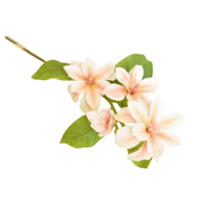 Magnolia 72cm