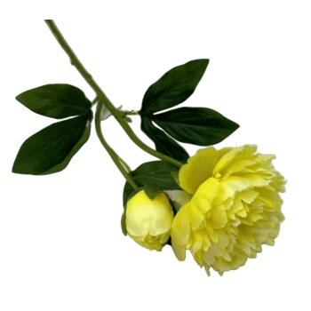 Peonia 60cm b3b67d9a6ea55ec6ab72111f0ffbd504.png