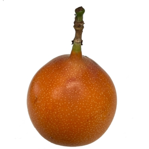 GRANADILLA KOLUMBIA 1SZT 1768514479578-32692-3-nqdip.png