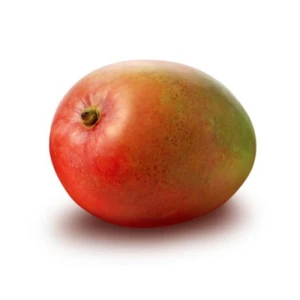 MANGO RTE DOMINIKANA 1SZT