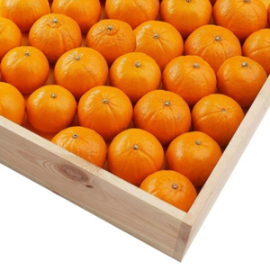 MANDARYNKA NADERCOTT KLASA I MAROKO 10KG