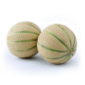 MELON CANTALOUPE KOSTARYKA 1SZT