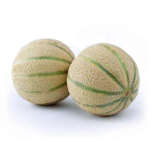 MELON CANTALOUPE KOSTARYKA 1SZT 1768515697351-34810-3-lwylya.png