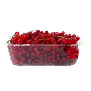 PORZECZKA CZERWONA POLSKA 500G