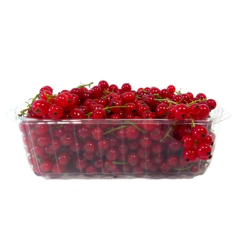 PORZECZKA CZERWONA POLSKA 500G 1768516339515-35888-3-xsohmr.png