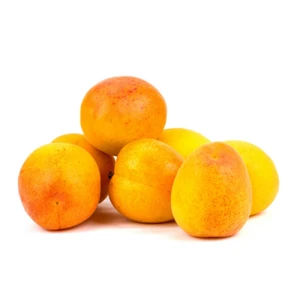 MORELA GRECJA 5KG