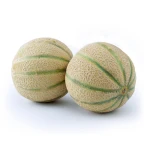 MELON CANTALOUPE WŁOCHY 1SZT