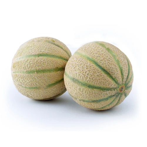 MELON CANTALOUPE HISZPANIA 1SZT 1768517480826-37939-3-olggs2.png