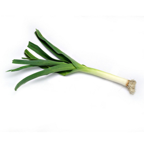 POR BELGIA 10KG 1768515086437-33791-3-lqfoq.png