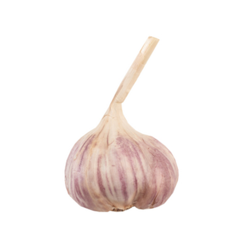 CZOSNEK POLSKA 1SZT 1768517516478-38001-3-nofrpk.png