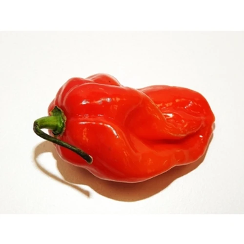 PAPRYKA OSTRA CAROLINA REAPER HOLANDIA 50G 1768513586659-31182-3-0upnjw.png