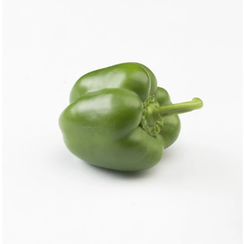 PAPRYKA SŁODKA ZIELONA KLASA I HOLANDIA 5KG 1768514449953-32639-3-kg8r9n.png
