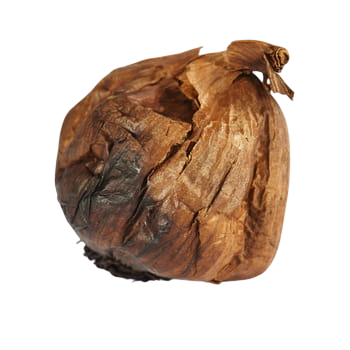 Czosnek czarny hiszpania 1 szt. 33835-Photoroom.png