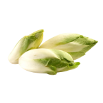 Cykoria polska 500 g