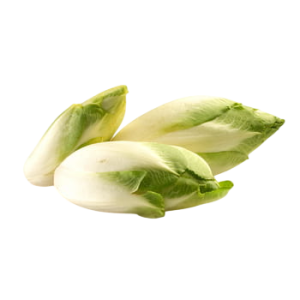 Cykoria polska 500 g