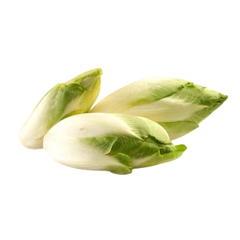 Cykoria polska 500 g 40209-Photoroom.png