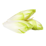 Cykoria żółta ok. 500 g