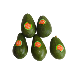 AWOKADO RTE IZRAEL 1SZT