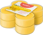 Bolsius Świece zapachowe maxi light 8 szt True Scents MIMOZA