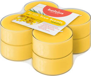 Bolsius Świece zapachowe maxi light 8 szt True Scents MIMOZA