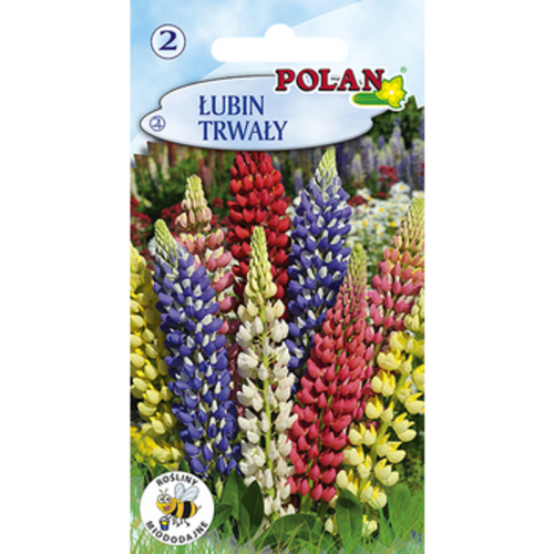 Łubin trwały Polan 1768507840797-18873-3-vntnh.png