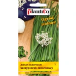 PlantiCo Szczypiorek czosnkowy