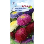 Aster Chiński Książęcy - mieszanka Polan