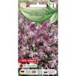 Maciejka dwuroga 1+0,50g Seria bazowa Legutko