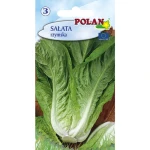 Sałata Rzymska Polan