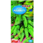 Ogórek gruntowy Polan - mieszaniec