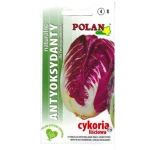 Cykoria liściowa Palla rossa